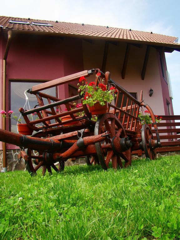 Colt De Rai Hotel Covasna Exterior foto